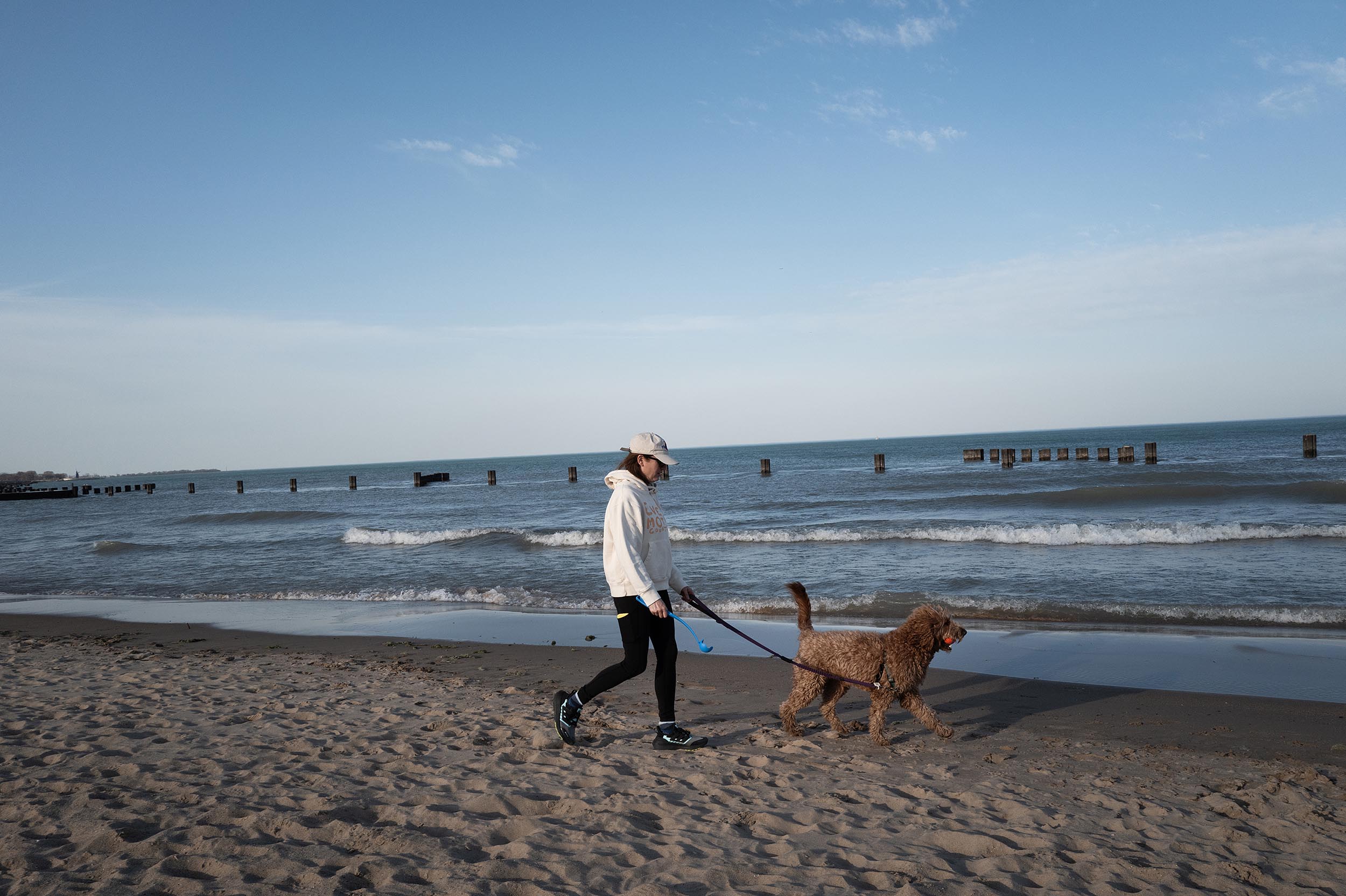 Dogs bring loads of joy but also perils on a leash