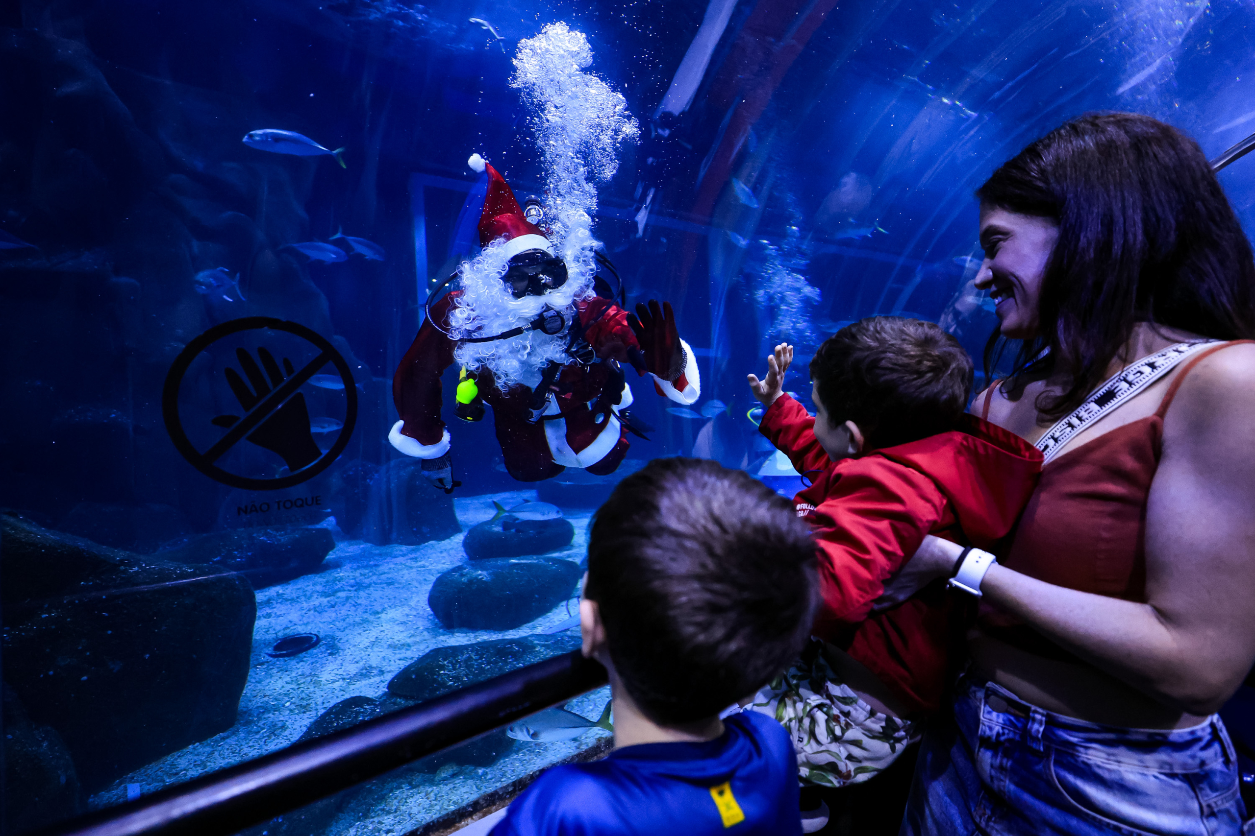 Santa Claus joins sharks for holiday swim at Rio de Janeiro aquarium